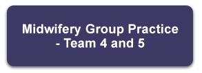 Midwifery Group Practice - Team 4 & 5